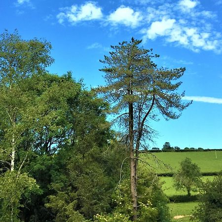 Heddfan Bed & Breakfast Llanboidy Bagian luar foto