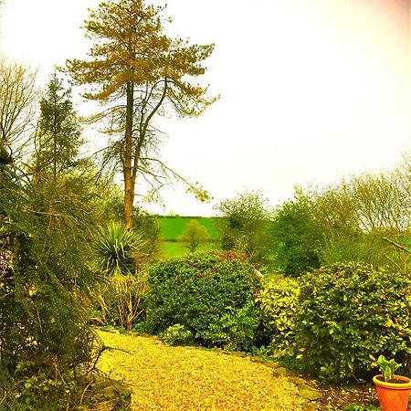 Heddfan Bed & Breakfast Llanboidy Bagian luar foto