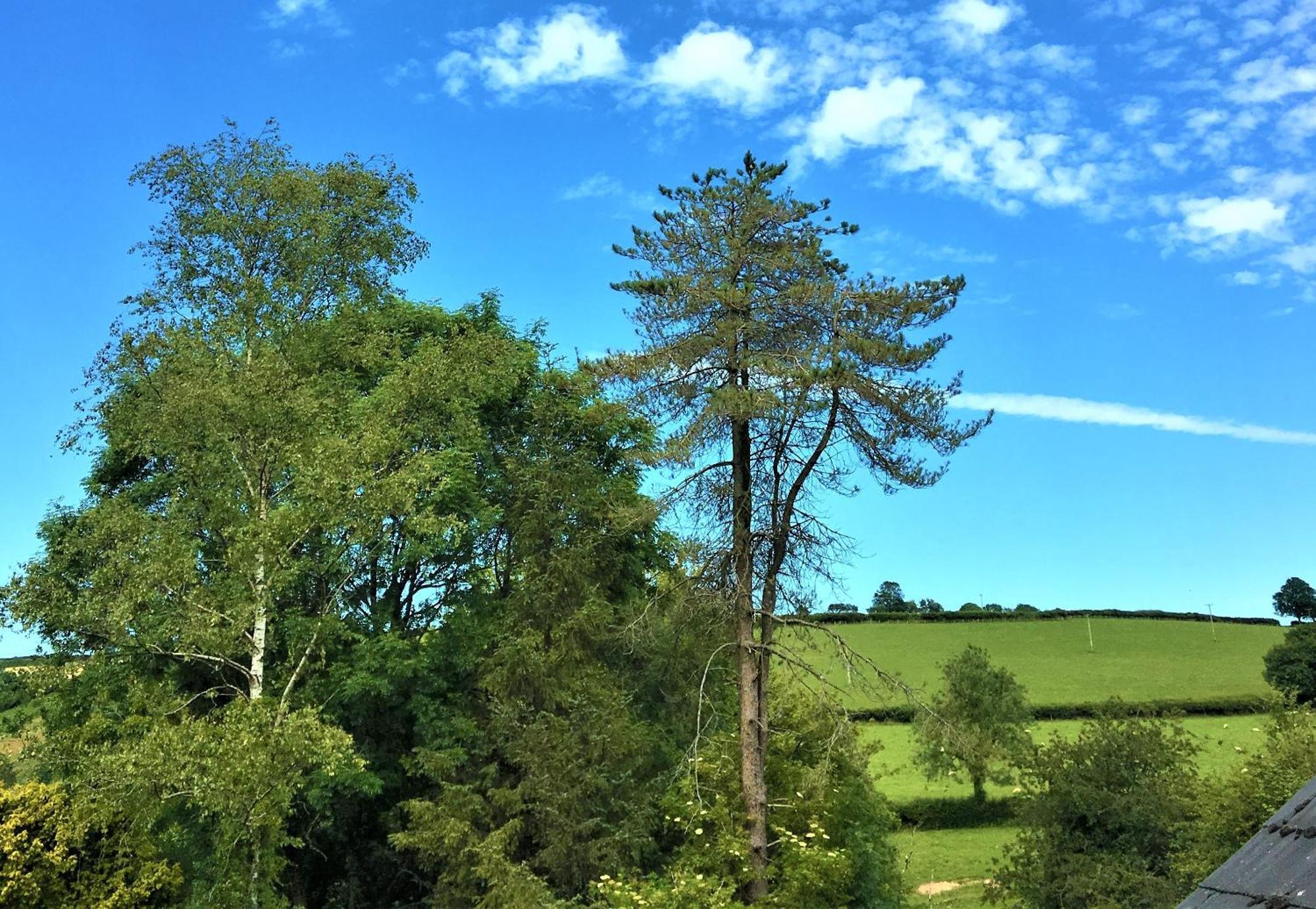 Heddfan Bed & Breakfast Llanboidy Bagian luar foto