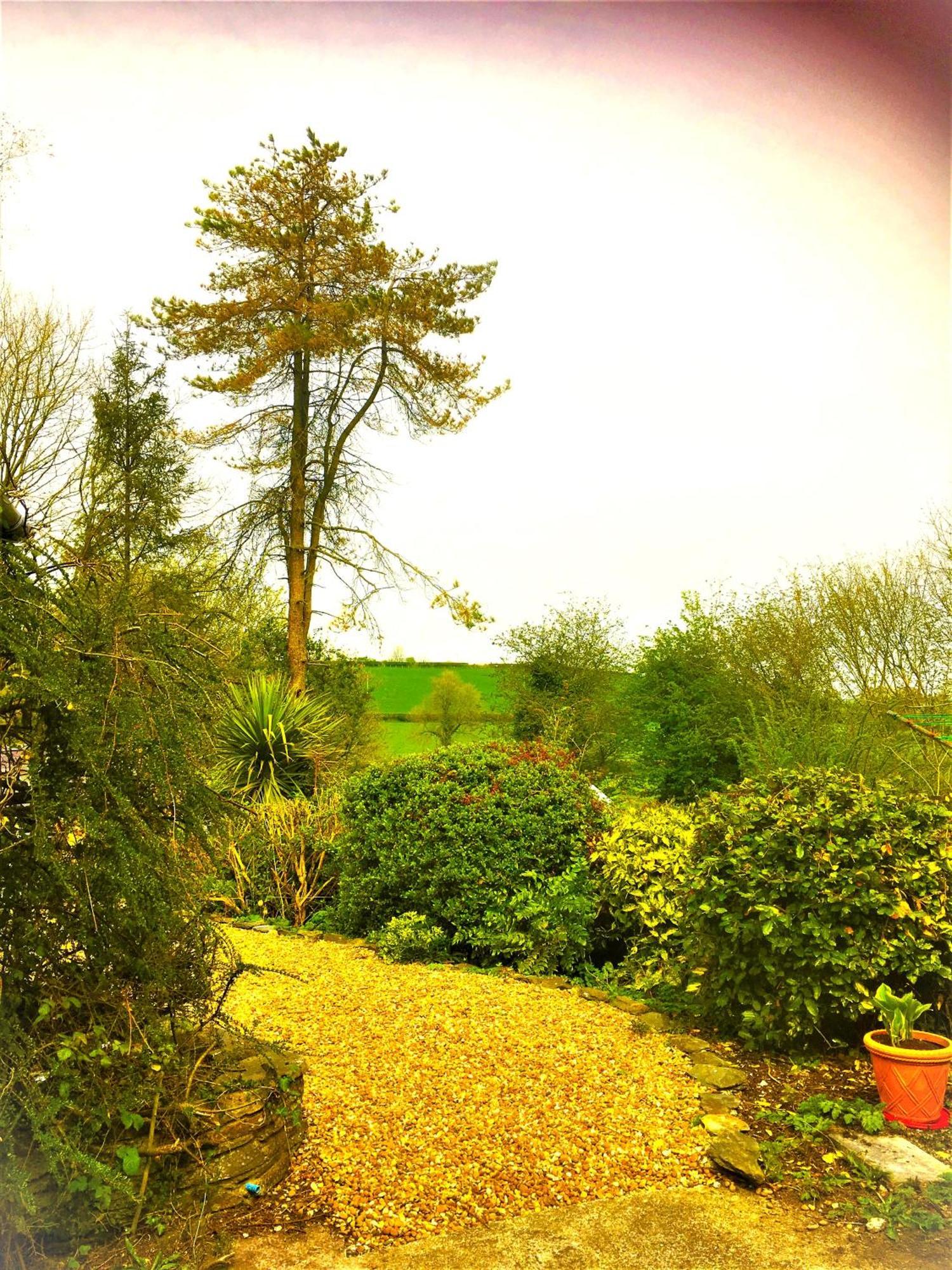 Heddfan Bed & Breakfast Llanboidy Bagian luar foto
